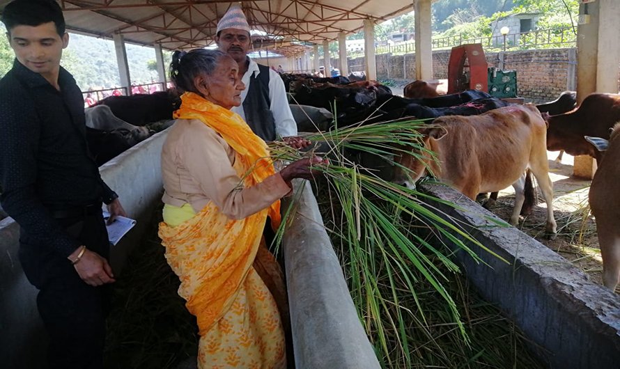 परम्परा धान्दै ९० वर्षीया गङ्गादेवी