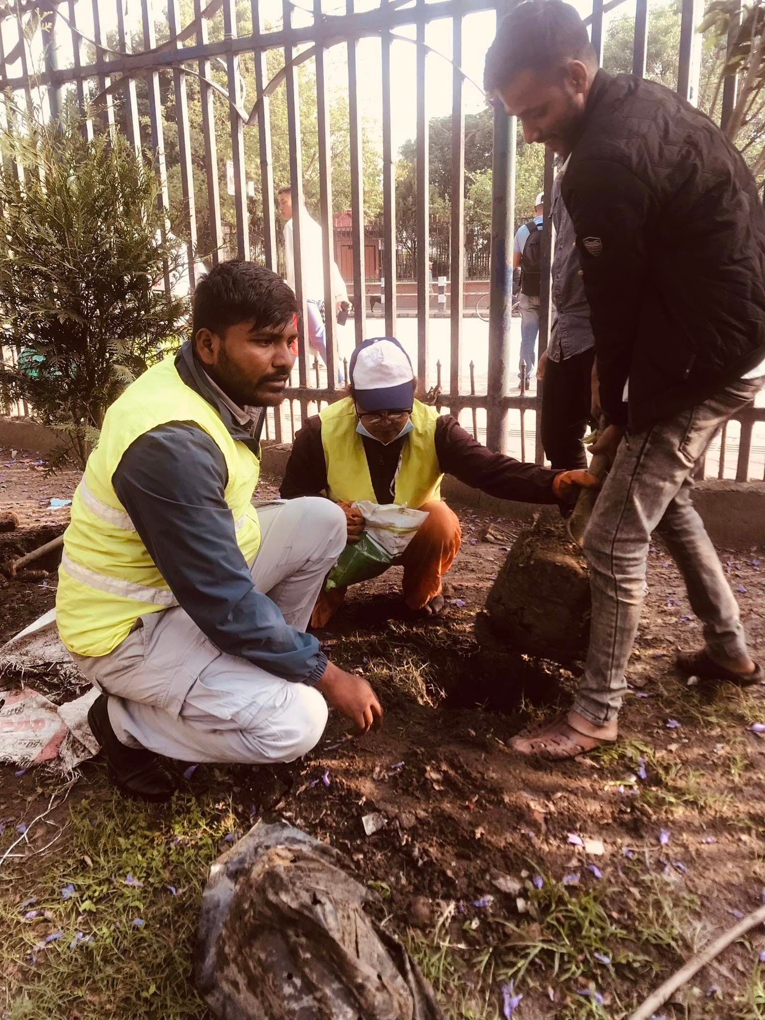 रत्नपार्कमा वृक्षारोपण गरिदै