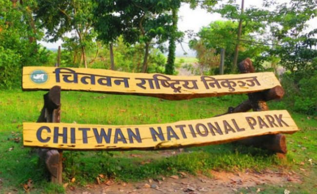 चितवन राष्ट्रिय निकुञ्जमा १ सय ९ वन्यजन्तुको उद्धार