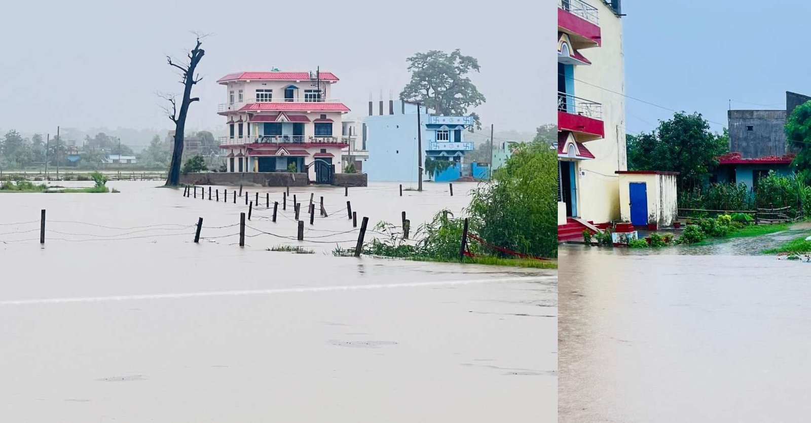 अविरल वर्षाले धनगढी डुबानमा, जनजीवन अस्तव्यस्त