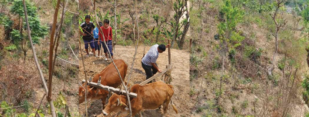 सीपयुक्त आत्मनिर्भर बनाउने उद्देश्यले पढ्दै कमाउँदै कार्यक्रम सुरु