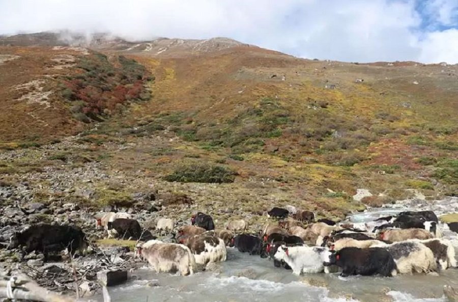 लेकाली समुदायमा न दसैँ आउँछ न त तिहार