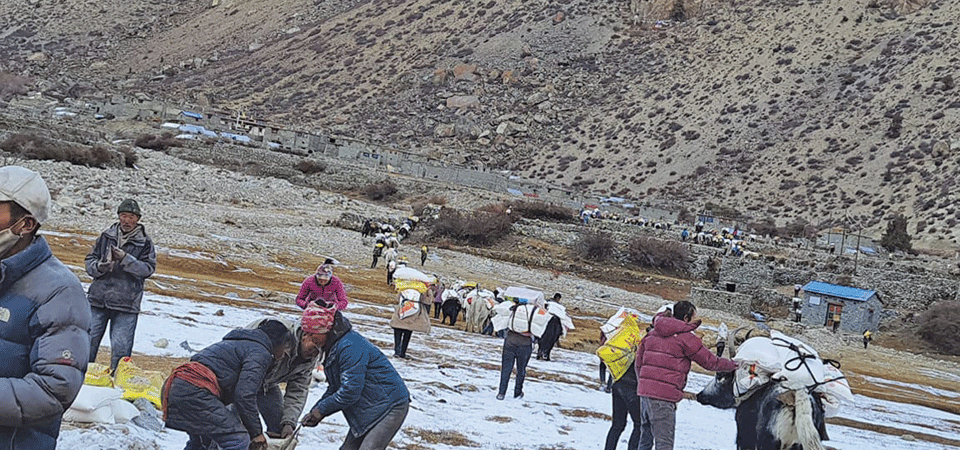 लिमीमा खाद्यान्न वितरण