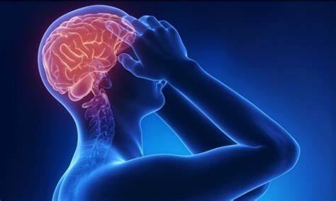 स्मरणशक्ति बढाउन के गर्नुपर्छ ?